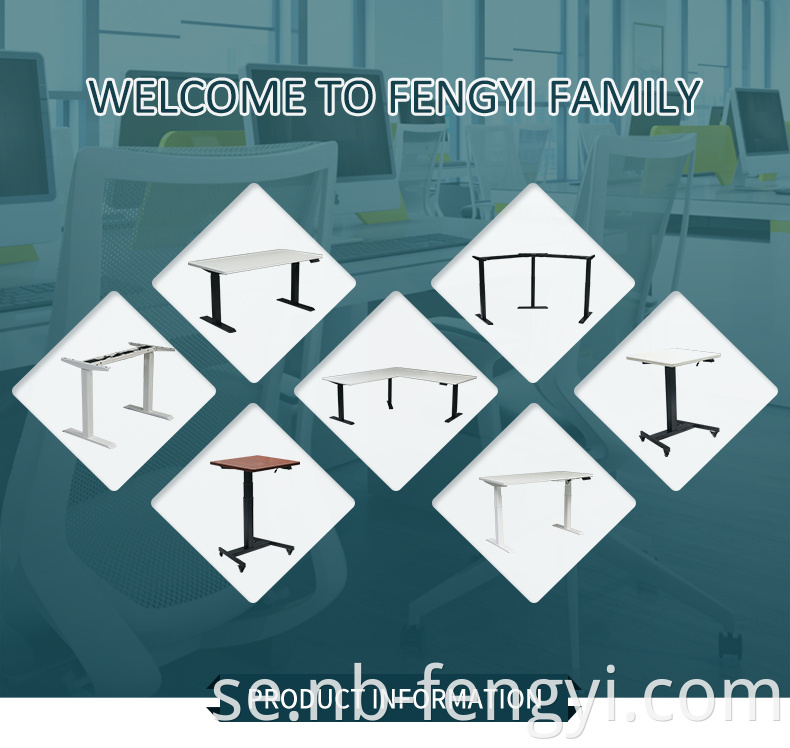 Fengyi products family